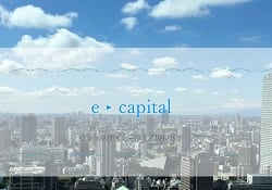 イー・キャピタル