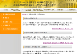 日経225mini.com