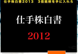 仕手株リスト2013