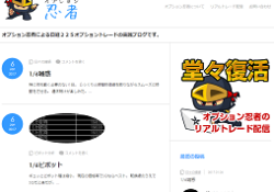 オプション忍者