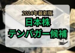 テンバガー候補 2024
