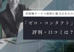 デジタル・トランスフォーメーション株式ファンド（愛称：ゼロ・コンタクト）